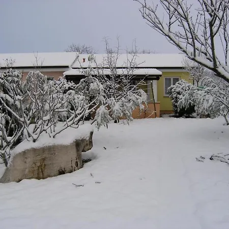 Lorena Mit Salzwasser-pool Und Garten In * Poreč
