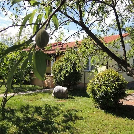 Lorena Mit Salzwasser-pool Und Garten In *